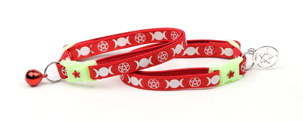 Witch's Familiar on Red Cat Collar
